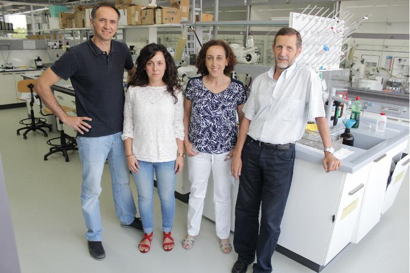 Científicos da USC e de IBM demostran a existencia de moléculas efémeras