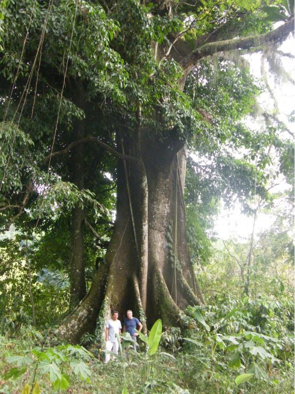 A USC asesora e reforza a capacidade de investigación en cambio climático do Ministerio de Medio Ambiente en Guatemala