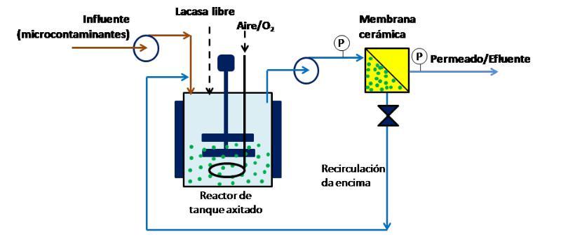 Investigan na ETSE distintos métodos para desenvolver tecnoloxías dirixidas a eliminar contaminantes orgánicos