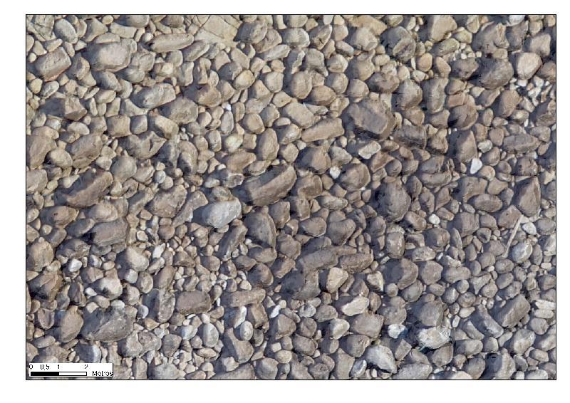 Augusto Pérez Alberti: “O coñecemento da dinámica dos sistemas costeiros é fundamental na planificación e xestión do litoral”