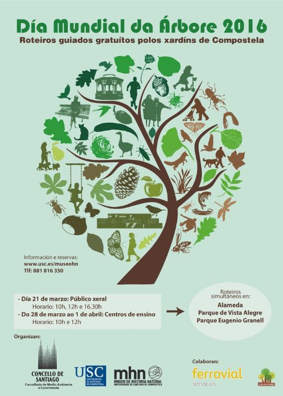 O Museo de Historia Natural da USC e o Concello de Santiago celebran o Día da Árbore con diversas actividades conxuntas