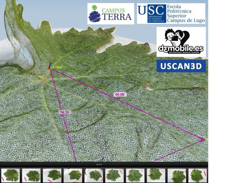 USCAN3D reforza a aposta pola formación en liña con cursos de modelado e medición 3D de obxectos con software gratuíto