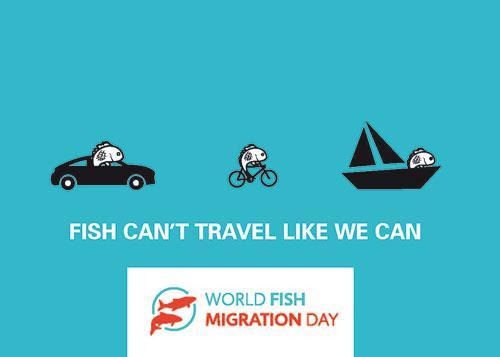 A Estación de Hidrobioloxía ‘Encoro do Con’  organiza unha xornada de portas abertas no Día Mundial da Migración dos Peixes