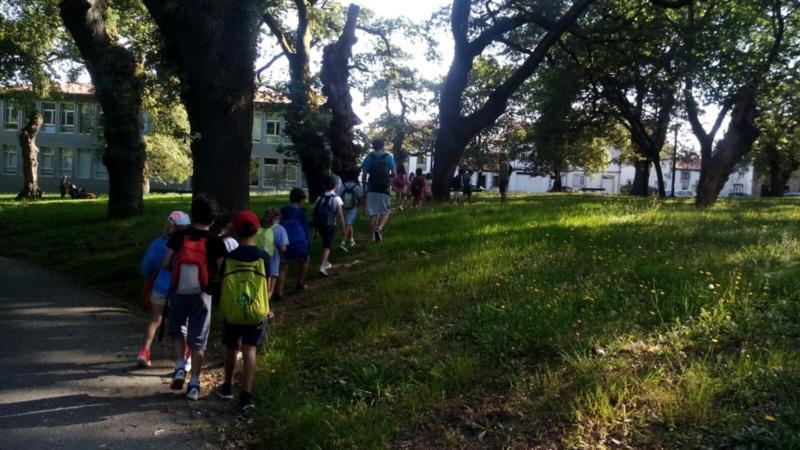 Remata a cuarta quenda de Verán CampUSC logo de atender a 360 rapaces e rapazas