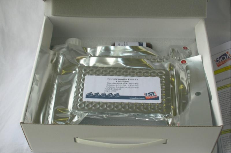 Parasitólogos galegos perfeccionan a diagnose da fasciolose humana e animal