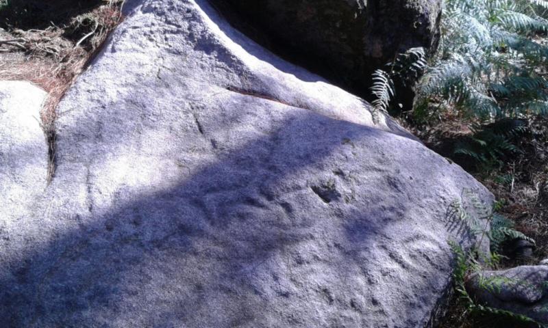 Descobren novos petróglifos no entorno do Parque Arqueolóxico de Campo Lameiro