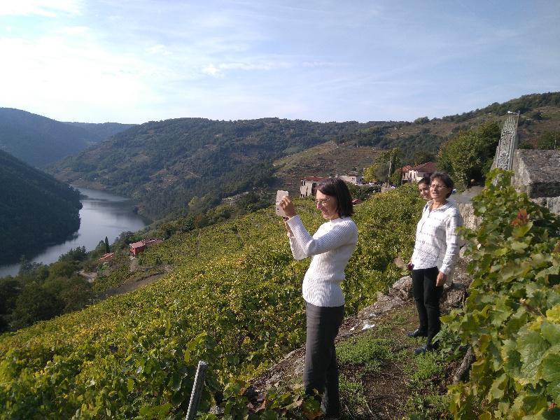 O Campus Terra da USC crea material e métodos de formación en liña sobre manexo e virus da vide con centros de Francia e Italia