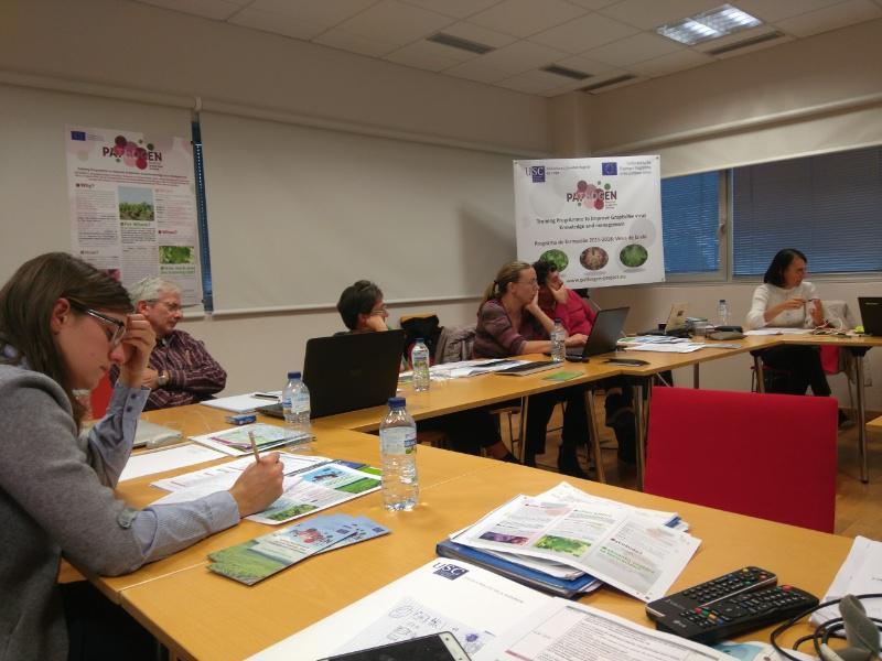 O Campus Terra da USC crea material e métodos de formación en liña sobre manexo e virus da vide con centros de Francia e Italia