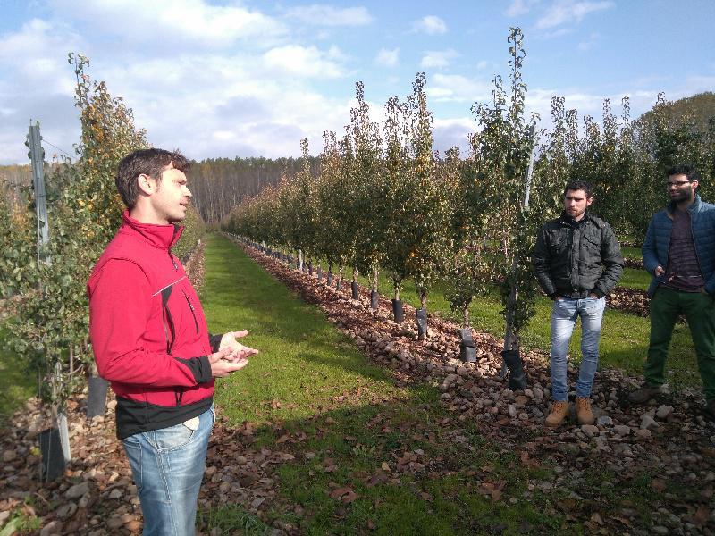 Estudantes de Enxeñaría Agrícola e Agroalimentaria visitan no Bierzo unha central hortofrutícola punteira