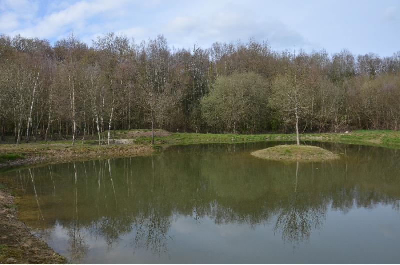Un proxecto do Campus Terra da USC para restauración de lagoas en Cospeito, premio Juana de Vega de Intervención na Paisaxe