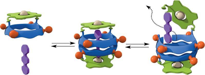 Construíndo as pezas invisibles dunha máquina molecular