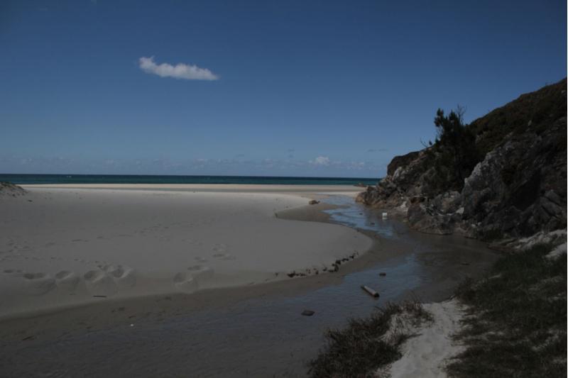 Investigadores de Bioloxía colaboran co Concello de Ferrol e ADEGA na creación dunha rede de Microrreservas de Flora
