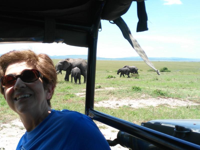 O grupo Invesaga do Campus Terra da USC analiza co Servizo de Fauna de Kenia infeccións parasitarias de elefantes e rinocerontes