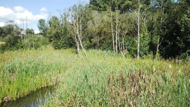 USC, Concello, Politécnica de Madrid e Deputación tratan este venres avances e novas accións do LIFE Lugo+Biodinámico