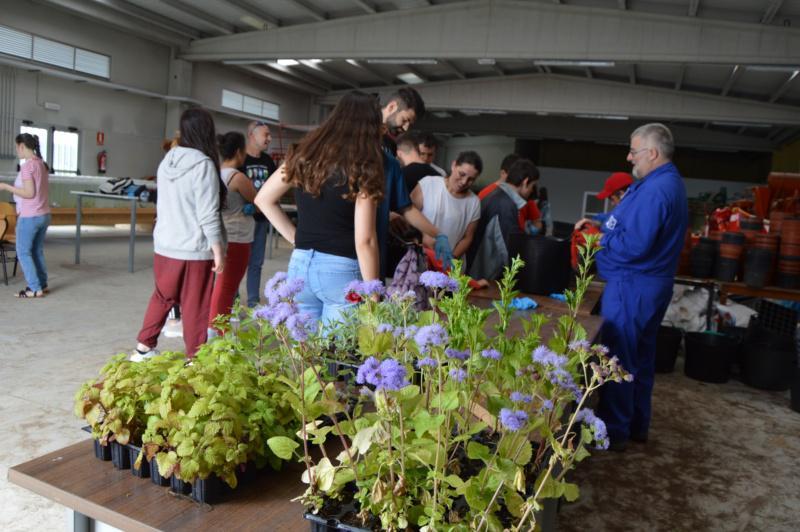 A USC, unha ponte cara a integración