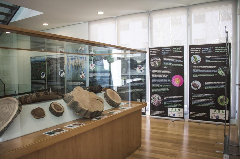 O Museo de Historia Natural incorpora expositores temporais sobre invasións biolóxicas