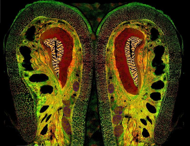 Arte para facer visible a ciencia