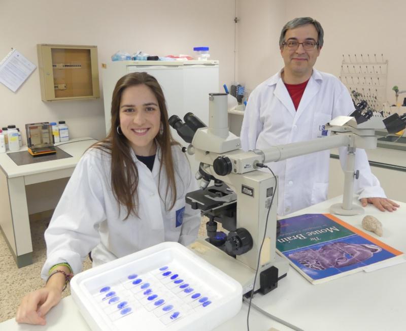 Arte para facer visible a ciencia