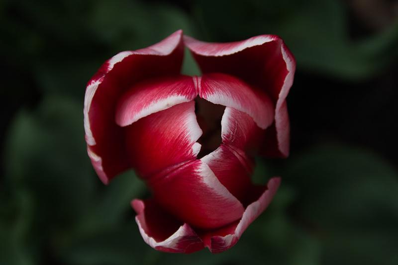 O II Concurso de Fotografía da Natureza xa ten gañadores