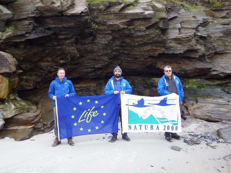 Investigadores do Ibader e da Universidade de Nottinghan advirten do impacto dos eólicos nas turbeiras de cobertor no Cantábrico