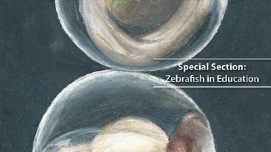 La revista americana Zefrafish publica un artículo del grupo de investigación ZebraBioRes sobre el proyecto ‘Una cebra en el agua’