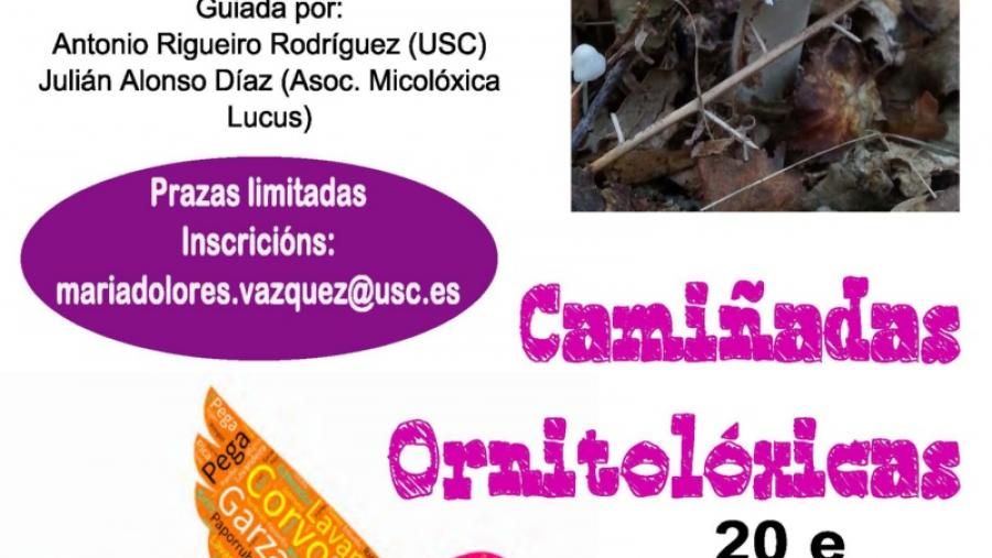Abierta la inscripción en las caminatas ornitológicas y botánicas organizadas por el Campus Terra durante el mes de octubre