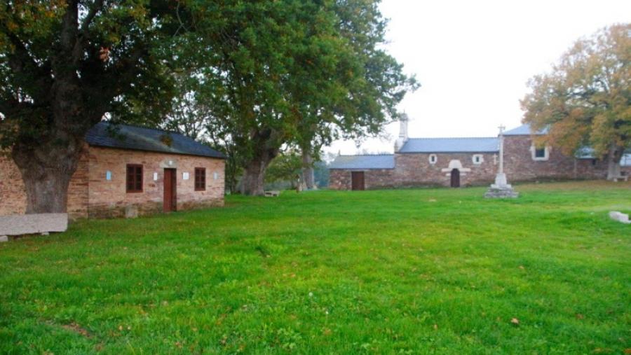 El Campus Terra de la USC revisará la salud y el grado de conservación de las especies incluidas en el Catálogo gallego de árboles singulares