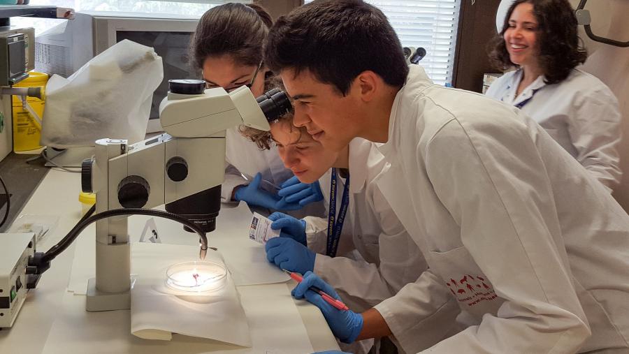 Ana Manuela de Azevedo Gomes, monitora de XuvenCiencia: “En el Campus de Verano, la convivencia y el respeto son fundamentales”.