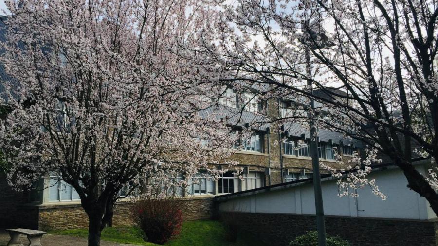 Ciencias acolle do 24 ao 29 de abril as ‘III Xornadas de Innovación en Nutrición, Seguridade e Tecnoloxía Alimentarias’