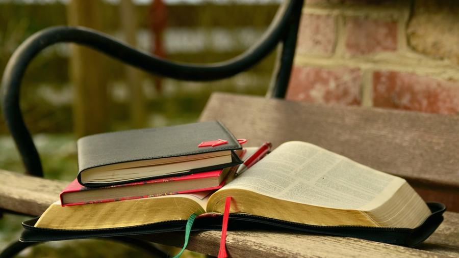 Matricúlate en un máster del Campus Terra