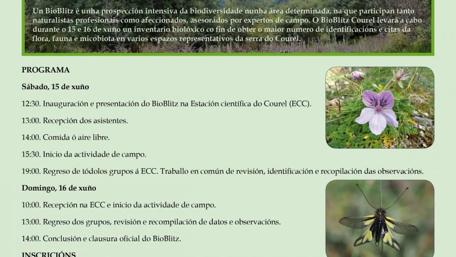 A ‘II Bioblitz Ancares-Courel’ terá lugar o 15 e 16 de xuño na Estación Científica do Courel 