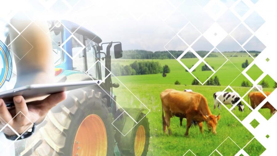 Campus Terra y Gradiant abren en el CiTIUS las sesiones de trabajo del Polo de Innovación Digital para el Sector Agroalimentario