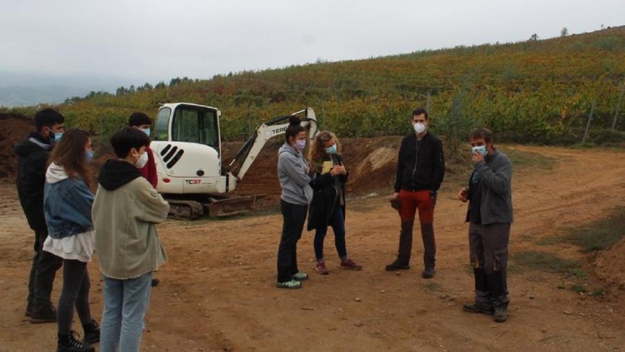 Os viñedos, as novas aulas do Campus Terra