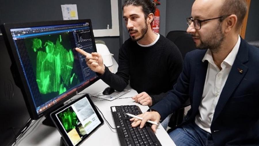 O investigador postdoutoral Nacho Insua amosa un modelo da lámina ao Profesor Montenegro. FOTO: Andrés Ruiz