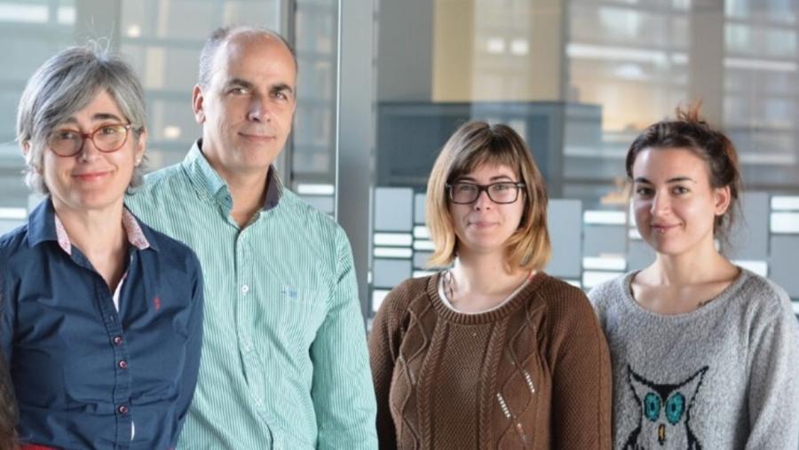 Grupo coordinado por Juan Zalvide