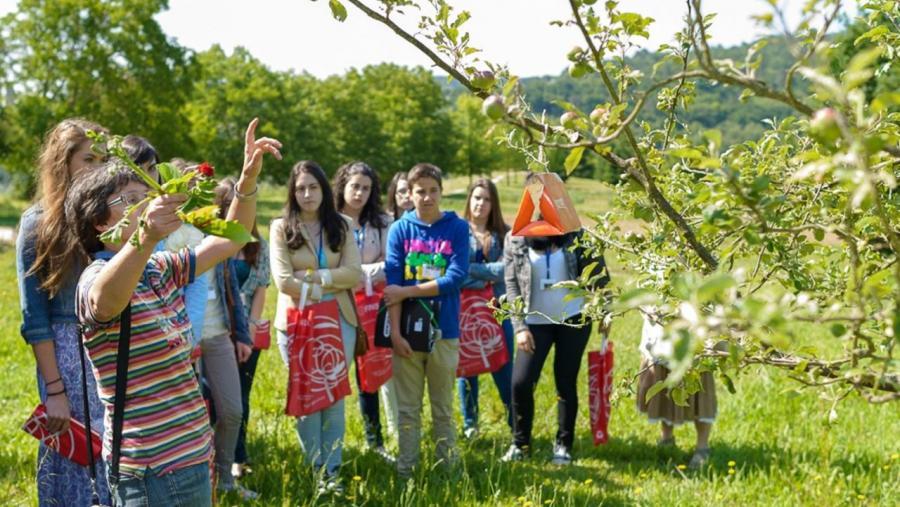 Cristina Cabaleiro guía un taller con alumnado dunha edición anterior do Campus XuvenCiencia