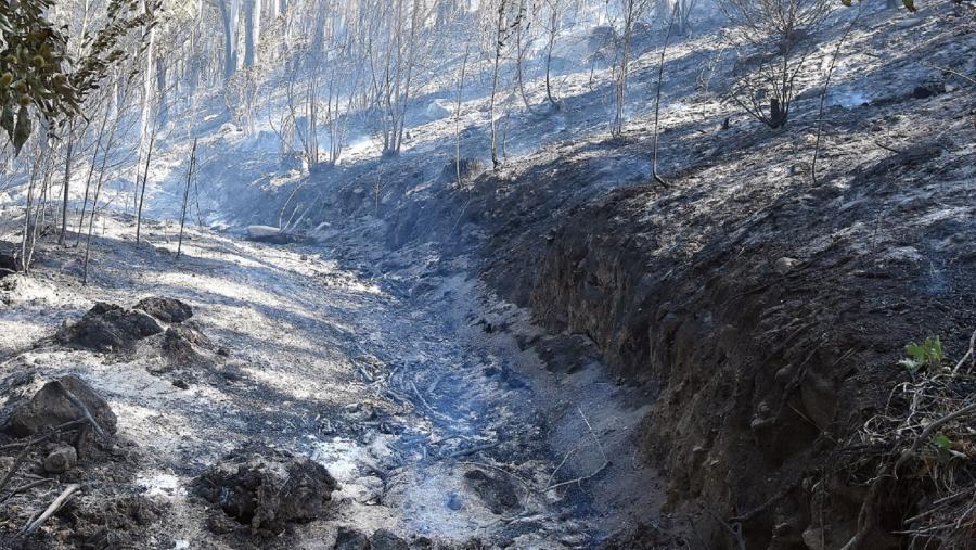 Solo degradado polo lume. Foto: Santi Alvite