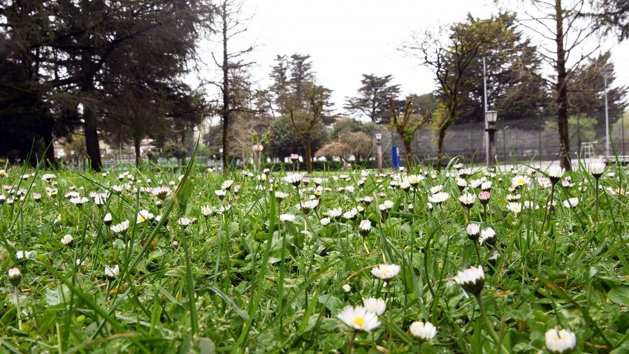 No referente ás temperaturas, o mes recentemente rematado reportou unha máxima de 23º5 o día 18. FOTO: Santi Alvite