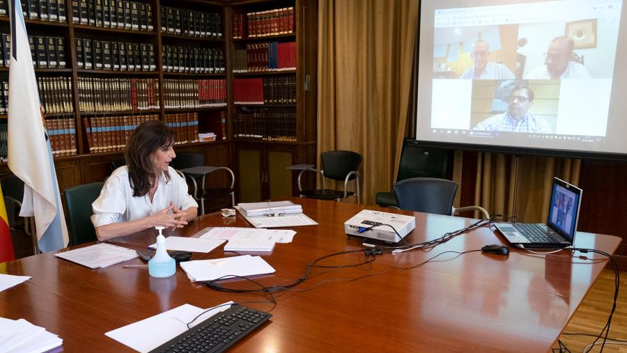 A xuntanza celebrouse este xoves a través de videoconferencia. Foto: Xunta de Galicia