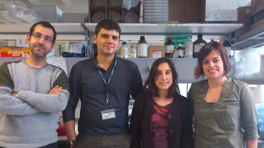 De esquerda a dereita: Anxo Vidal, Marcos García, Adriana Martinez Ledo e Erea Borrajo. (Imaxe de arquivo)