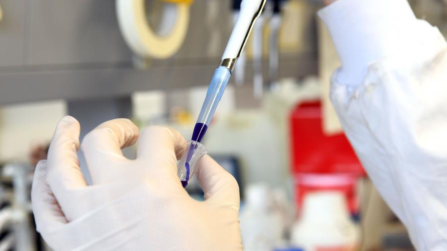 As propostas deberán estar vinculadas aos eixes da Axenda Científica do Instituto de investigación. FOTO: Santi Alvite