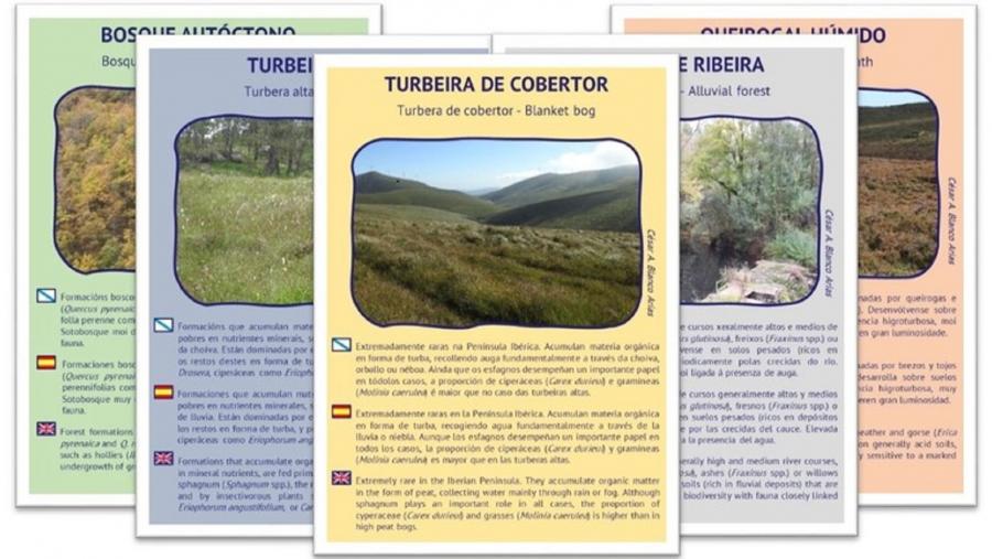 Cartas de hábitats singulares da Serra do Xistral