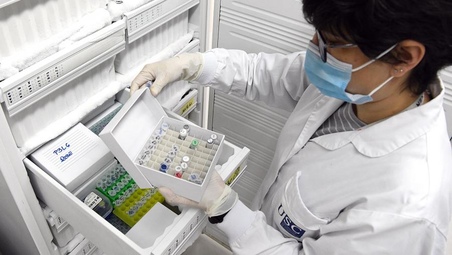 A Universidade escalou posicións en Farmacia e Ciencias Farmacéuticas. FOTO: Santi Alvite