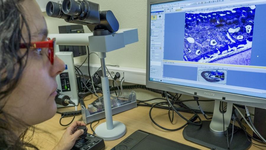 María Permuy, nunha das salas de traballo de iBoneLab