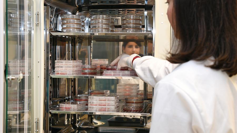 Unha investigadora nun laboratorio da USC