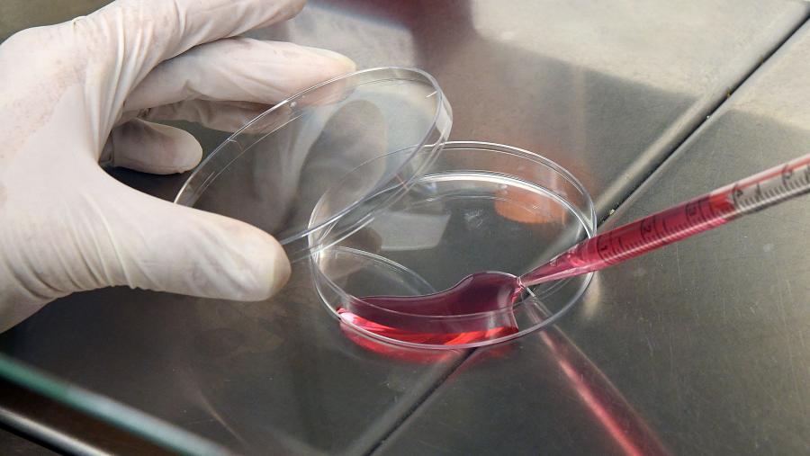 A USC lidera dous proxectos de vacina a través do seu Centro Singular de Investigación en Química Biolóxica e Materiais Moleculares (CiQUS) 