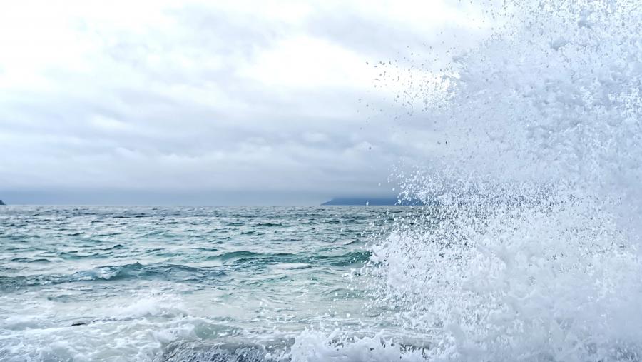 Baixo o paraugas de Sherpa do Mar desenvolveuse unha pormenorizada metodoloxía de apoio personalizado ao emprendedor. FOTO: Santi Alvite