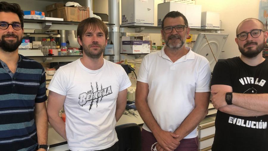 O profesor Romalde, terceiro pola esquerda, toma parte nesta investigación