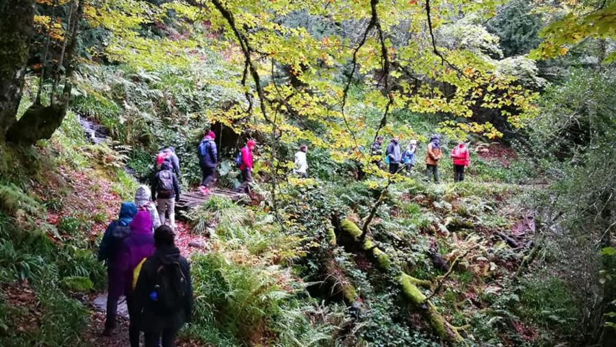 Alumnado e docentes do máster DAEN, nunha expedición pola natureza