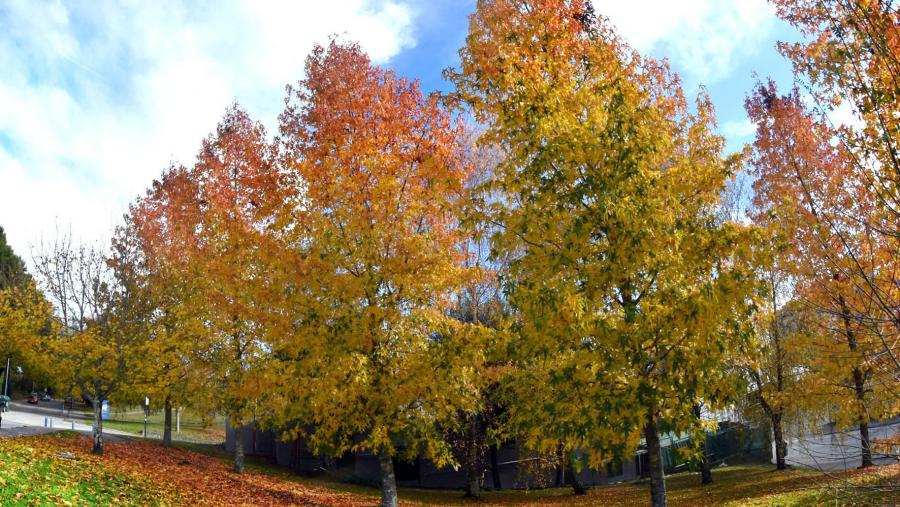A nova estación vaise prolongar ata as 11.02 horas do 21 de decembro. FOTO: Santi Alvite